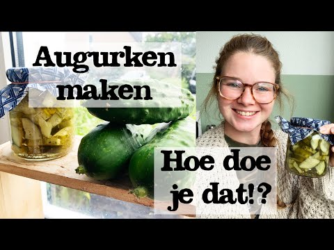 ZELF AUGURKEN MAKEN | wortels op het zuur | weck met mij