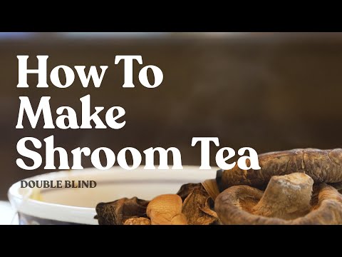 How to Make Shroom Tea 🍵 | DoubleBlind