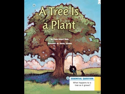 A Tree is a Plant