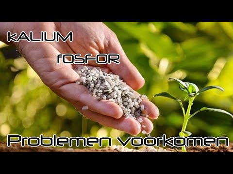 Kalium en fosfor voor planten!