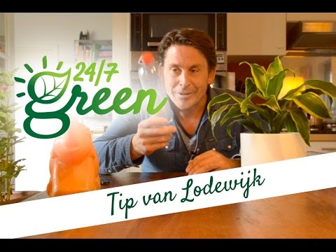 Tip van Lodewijk: Zo overleven je planten tijdens je vakantie!