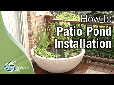 How To Create an Easy Container Water Feature with Aquascape's Patio Pond