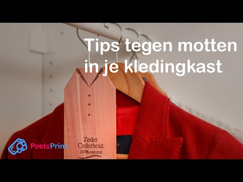 Handige tips tegen Motten in je Kledingkast