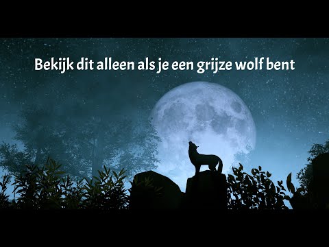 Bekijk dit alleen als je een grijze wolf bent