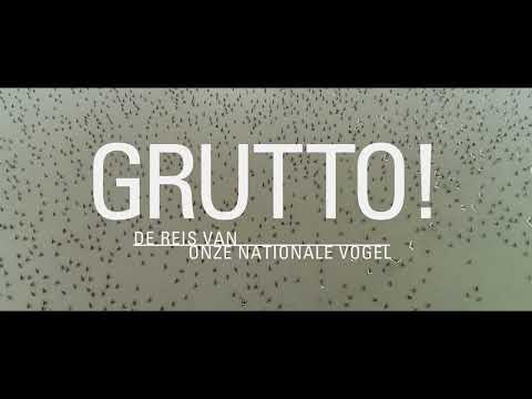 Trailer GRUTTO DE REIS VAN ONZE NATIONALE VOGEL