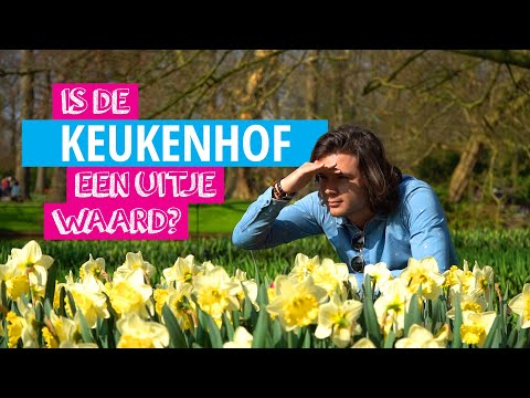 Tussen de tulpen van de Keukenhof | Is Het Een Uitje Waard?