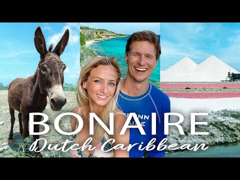 BONAIRE Travel Guide! 🇧🇶 (30 BEST things to do, cost, & more - our vlog)