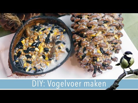 DIY: Vogelvoer hangers🦜 | RENSKE'S RECEPTEN